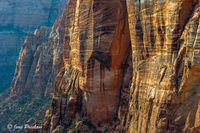 Canyon Overlook