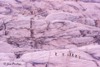 Glacier Walk