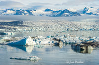 Glacial Lagoon