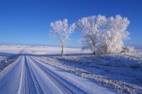 Winter Road