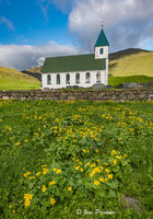 Marsh Marigold Flowers and Church