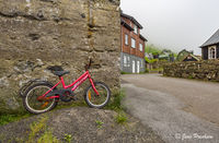 The Red Bike