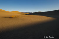 Sunset in the Sand Dunes