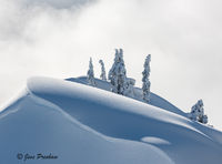 The Cornice