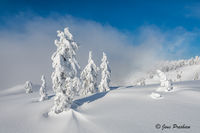 Snow Ghosts