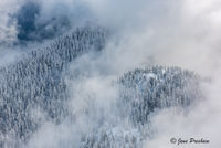 After The Snowfall