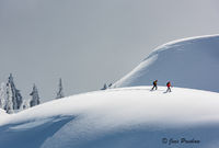 The Snowshoers