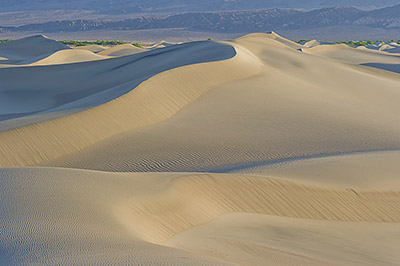 Sand Dunes