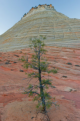 Checkerboard Mesa
