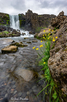 Oxararfoss