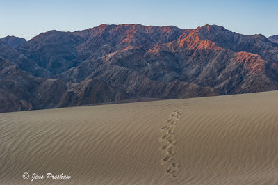 Footsteps