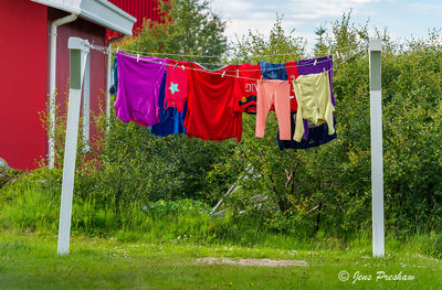 Washing Line