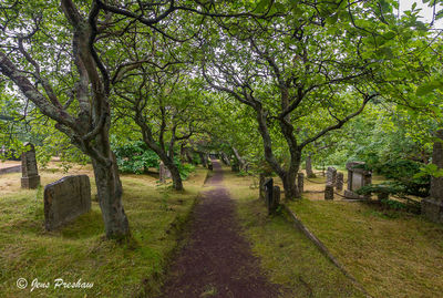 Torshavn's Old Cemetery