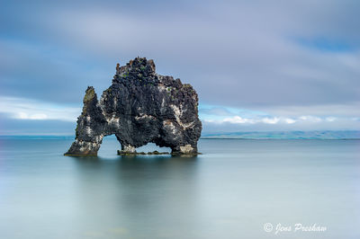 Hvitserkur