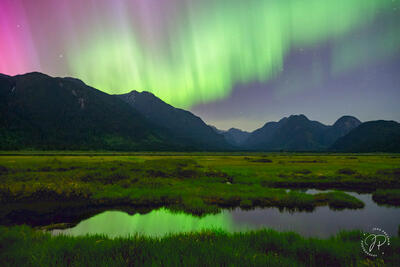 The Magnetosphere