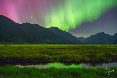 Green Reflection