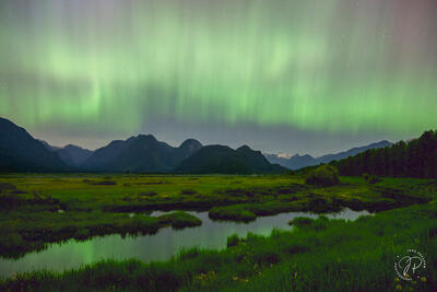 Green Spirits