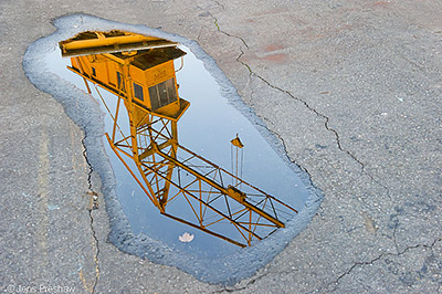 The Crane