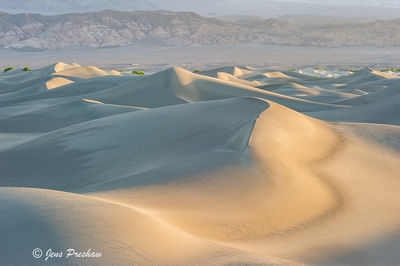 Mesquite Flats Sand Dunes