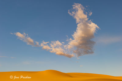 The Cloud