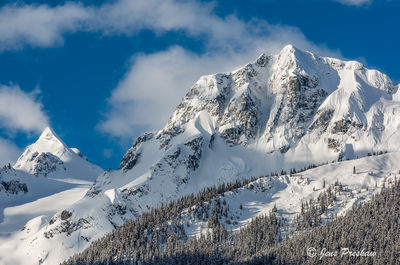 Fresh Snow
