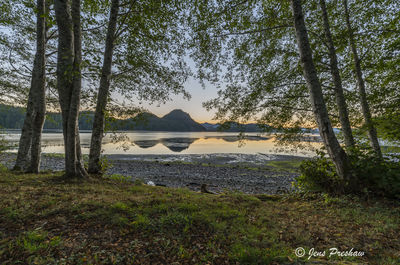 Natural Framing
