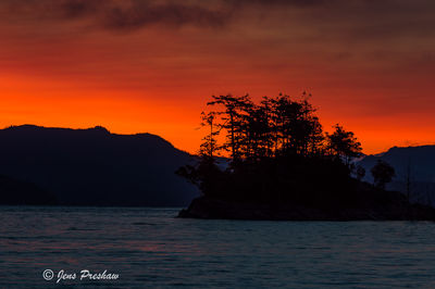 Orange Glow