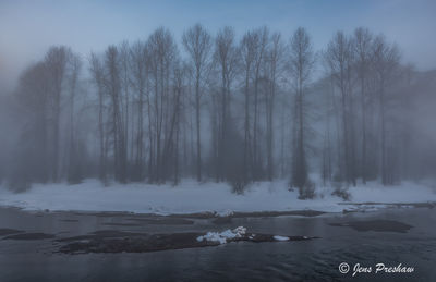 Winter Mist