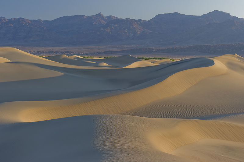 Mesquite Flat&nbsp;Sand Dunes at sunrise in Death Valley National Park.