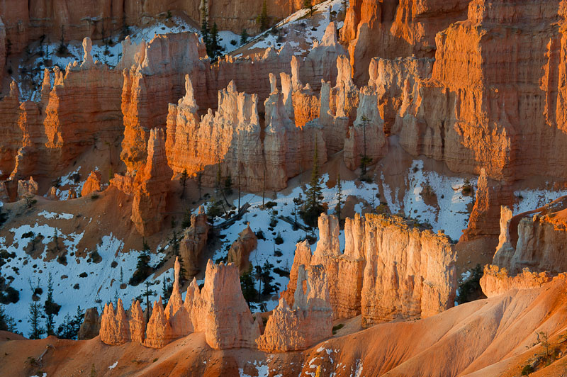 At sunrise in Bryce Canyon the light created beautiful red, orange and white colours on the hoodoos.