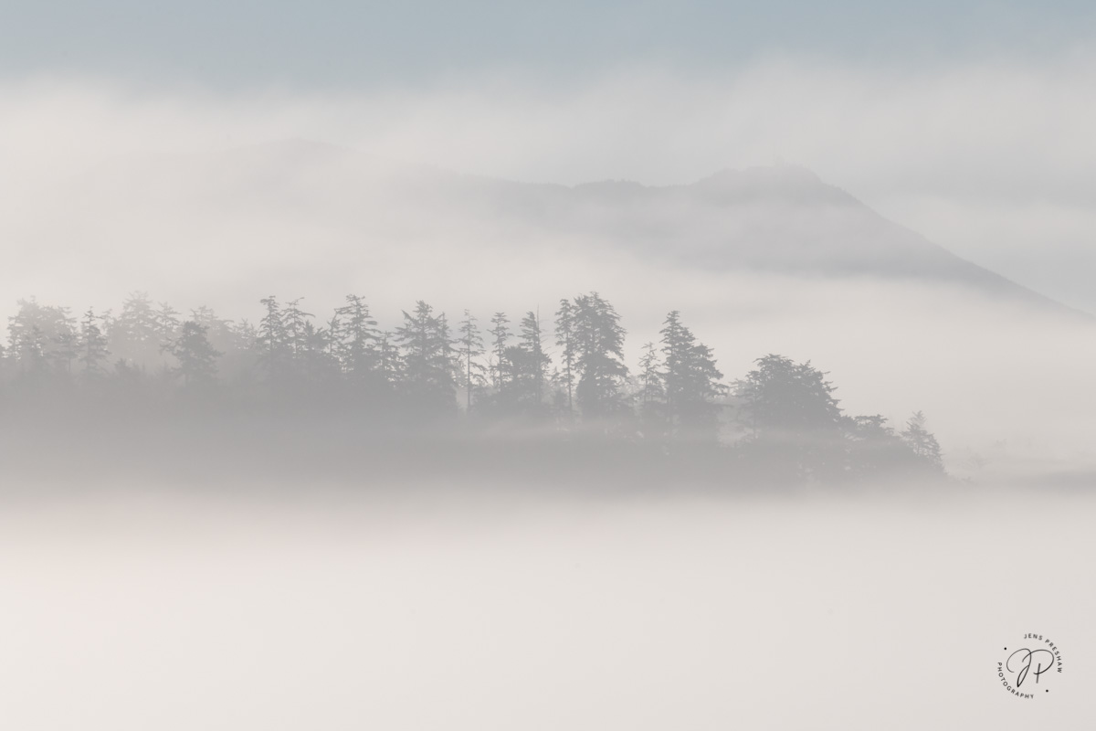 Early in the morning the coastal fog is slowly burned off by the rising sun.