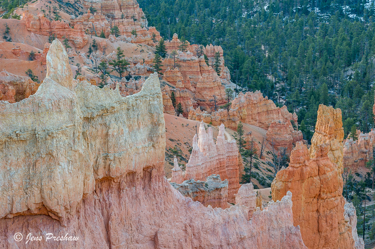 Looking down from the rim of the amphitheatre on these three hoodoos.