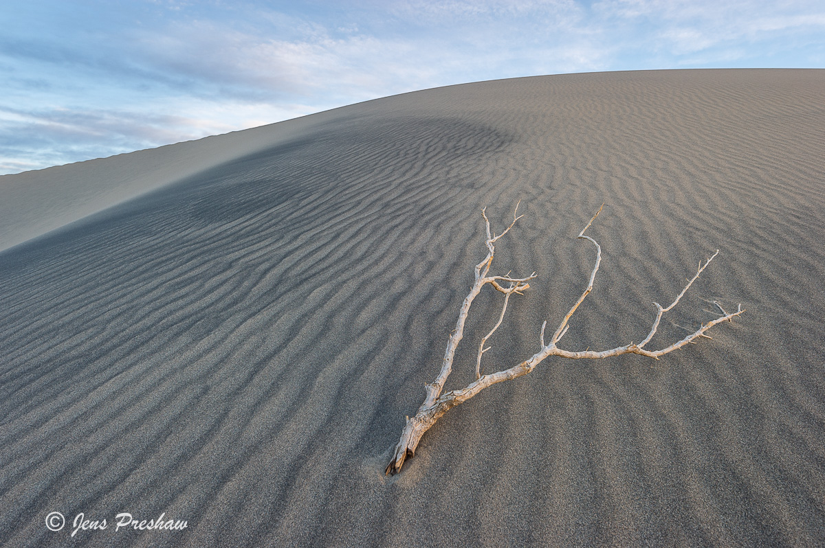 Branch, Mesquite Flats Sand Dunes, Clouds, Death Valley National Park, California, USA