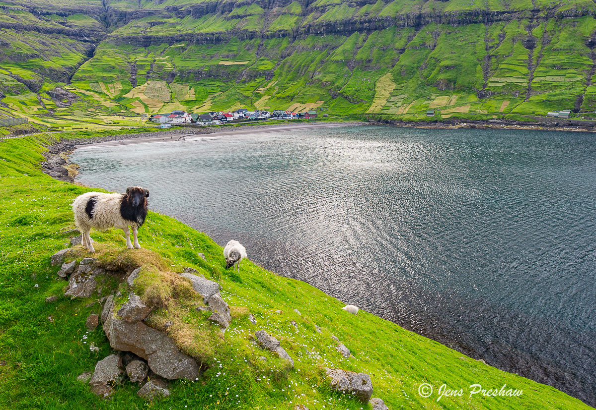 This beautiful settlement is surrounded on three sides by towering mountain walls. The village lies in what the Faroese call...