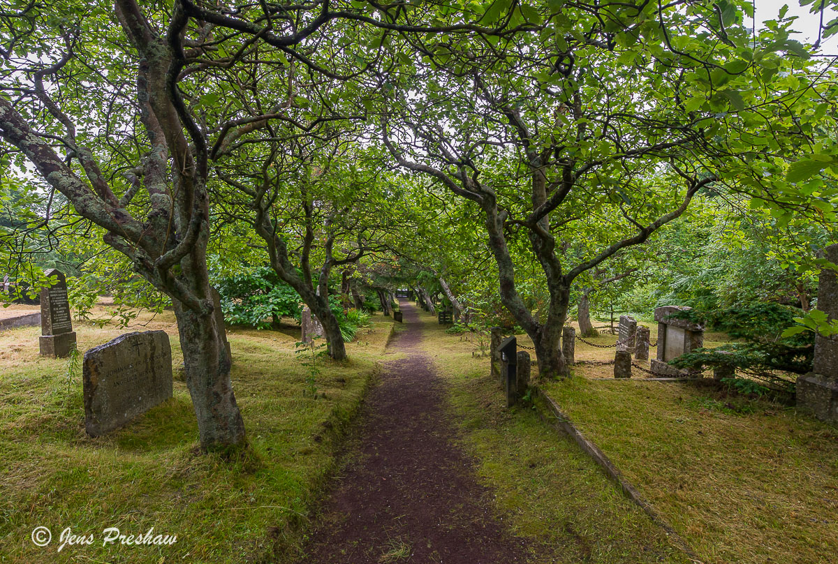 This old cemetery had ancient moss covered headstones and gnarled trees twisted into curious shapes by the ferocious winds.