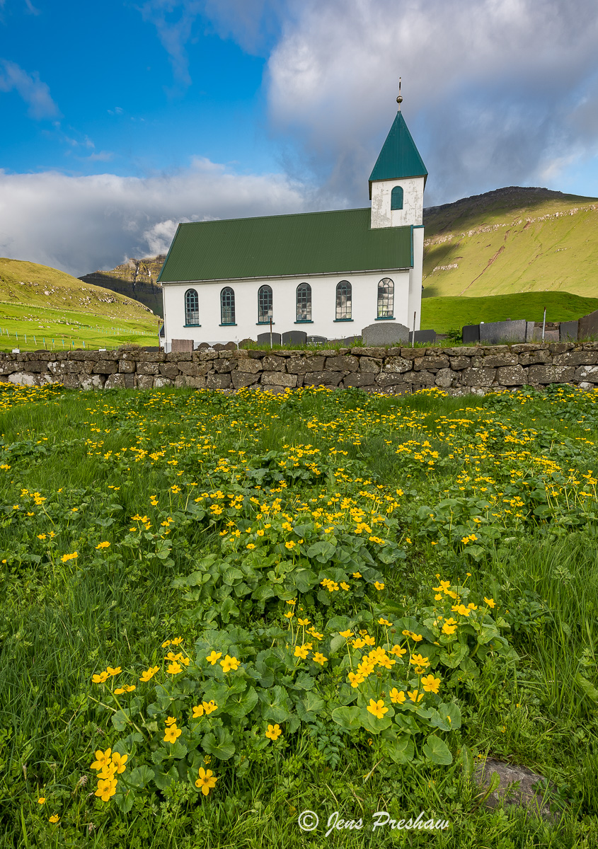 Gjógv, Church, Marsh Marigold Flowers, Eysturoy, Faroe Islands, Summer, Village
