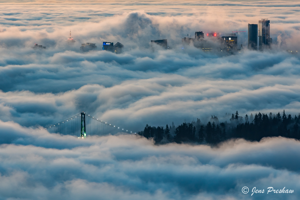 Early morning fog engulfs the Lions Gate Bridge, the trees in Stanley Park and tall buildings in downtown Vancouver.