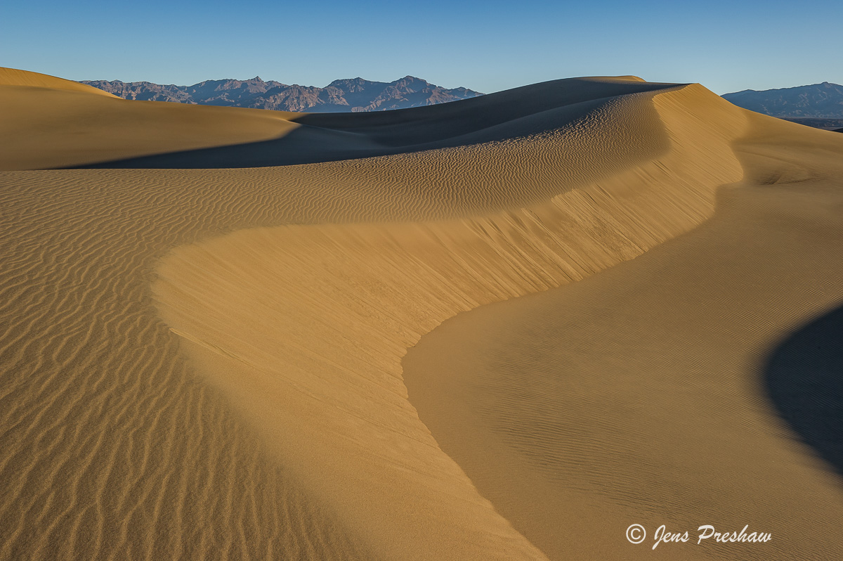 The way the wind&nbsp;had created&nbsp;this sand dune was amazing.
