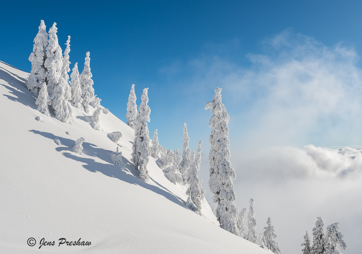 As the sun rose the clouds and mist slowly started to burn off, revealing this beautiful winter scene.