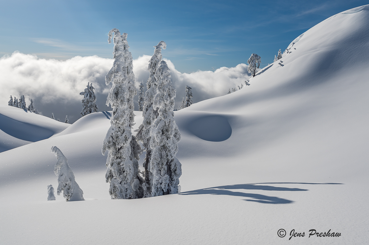 Snow Ghosts, Summit, Trees, Mount Seymour Provincial Park, British Columbia, Canada, Winter