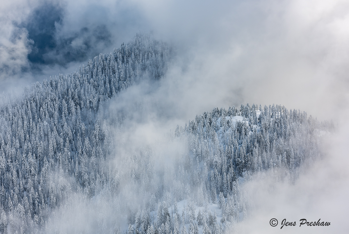 The clouds started to break up and moved slowly through the trees.