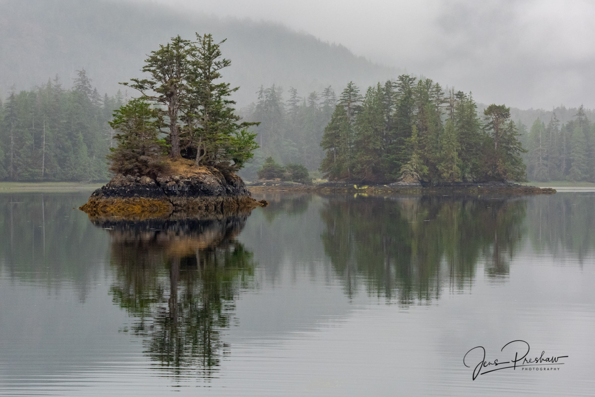 It's difficult to capture the beauty of Haida Gwaii with a camera. Early in the morning I was up on the deck of the boat, watching...