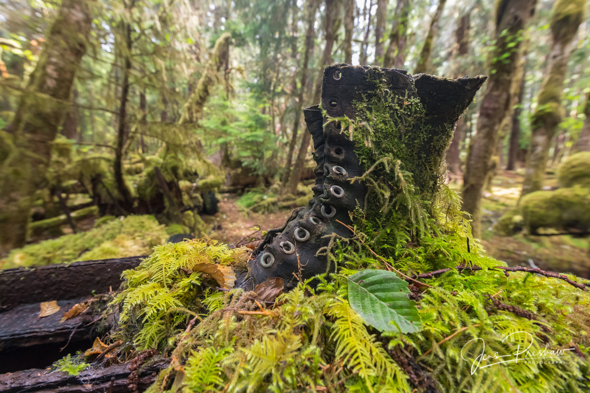 At the start of World War II this logging camp became a source of high quality Sitka spruce. The wood&nbsp;was light, strong...