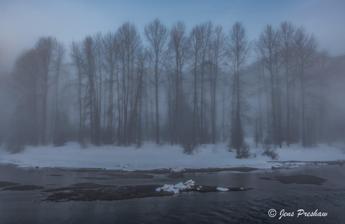Early in the morning a&nbsp;winter mist hangs over the trees in Mount Currie, British Columbia.