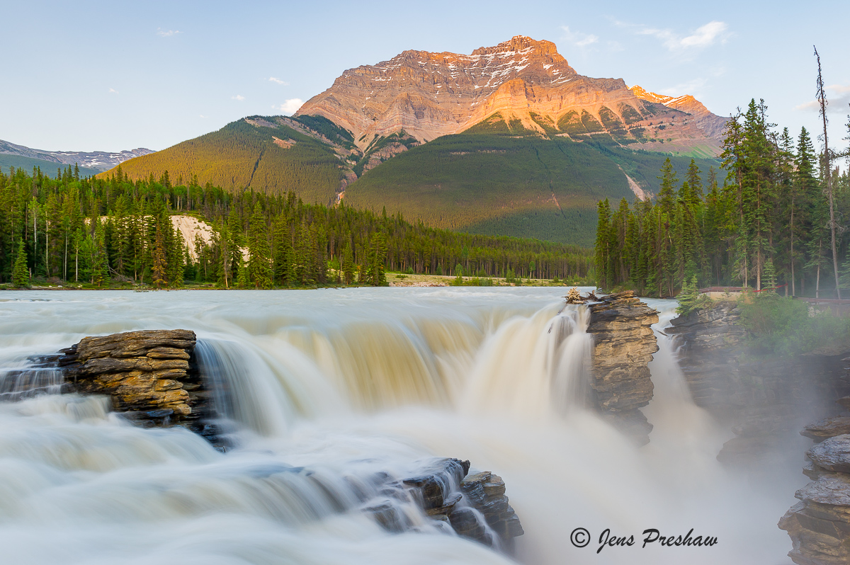 As I stood here taking this image I noticed an&nbsp;American Dipper&nbsp;flying in the spray of the falls. This small dark gray...